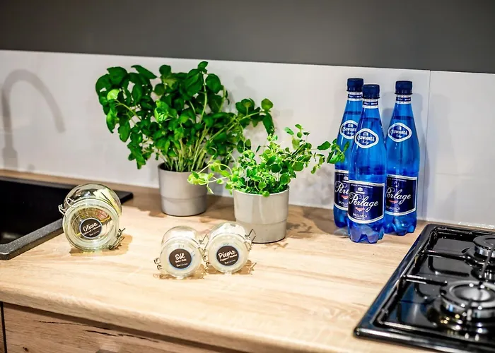 Hotell Rent Like - Wlodkowica 33 Wrocław